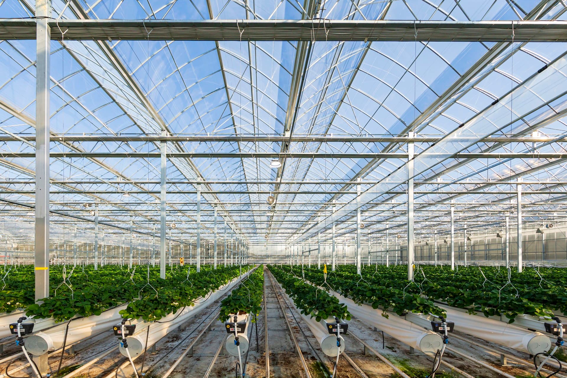 SEED Farm