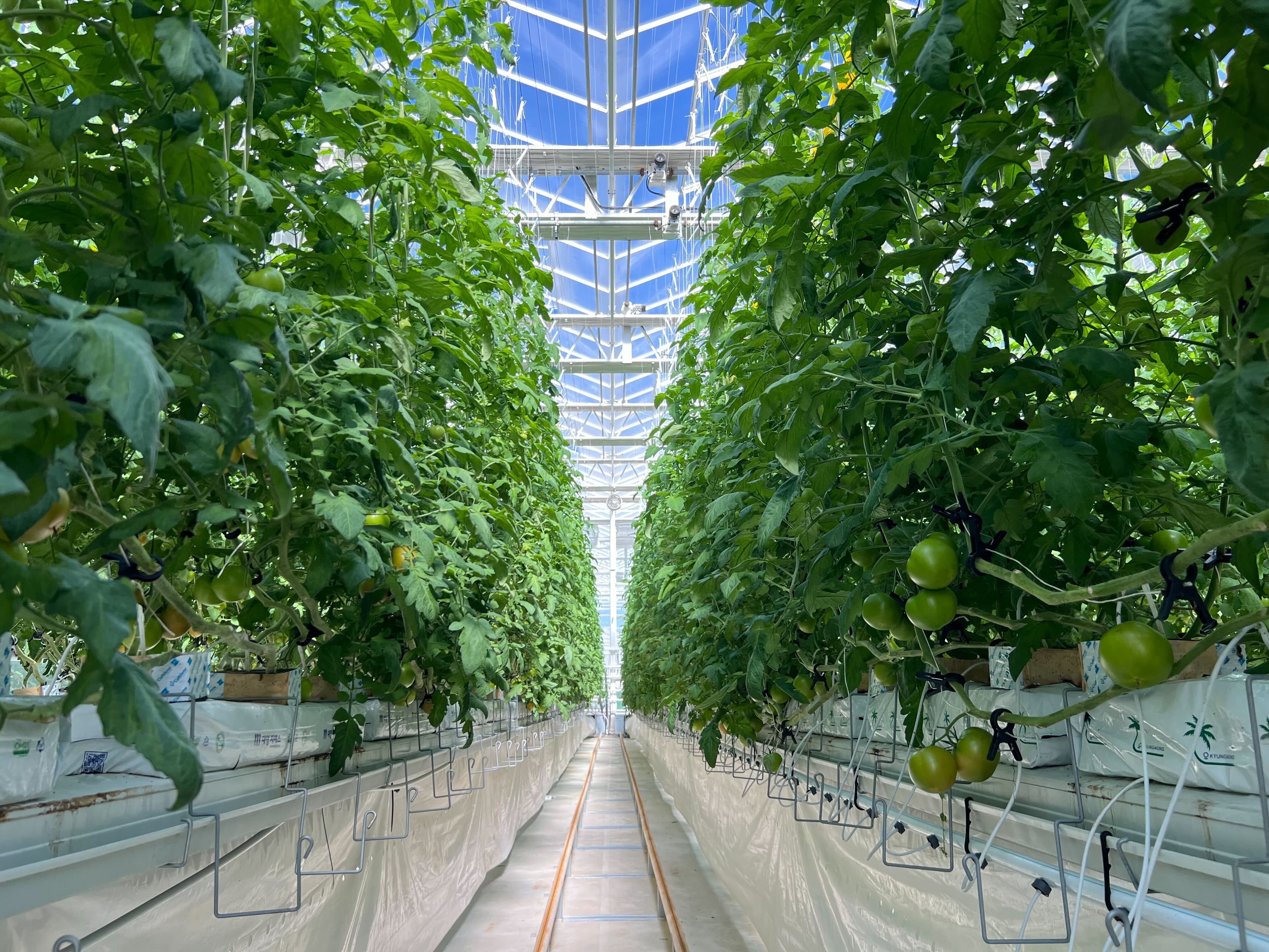 김제 스마트팜 온실