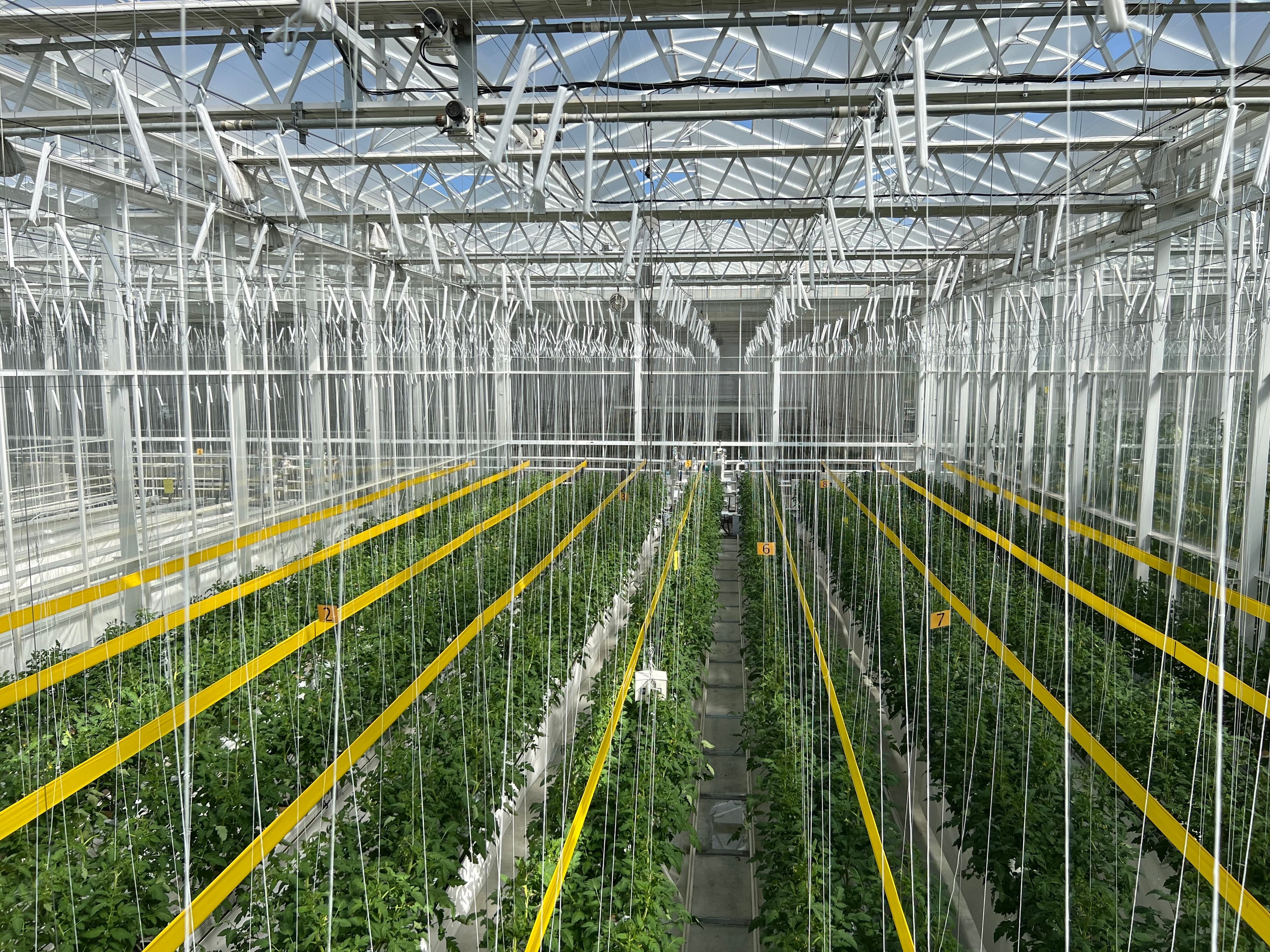 김제 작물 재배