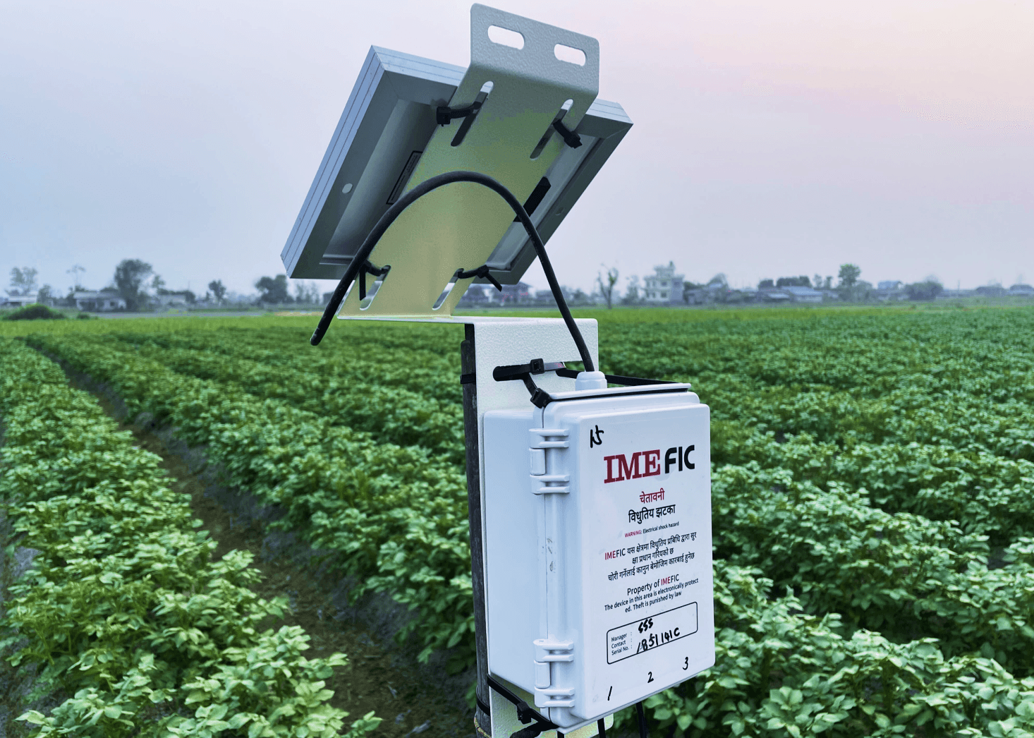 Open-field Smart Farm