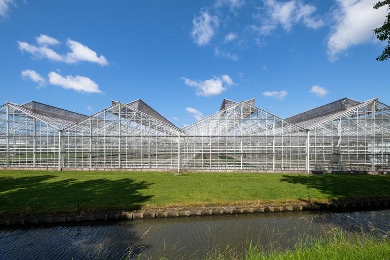 Glass Greenhouse Smart Farm
