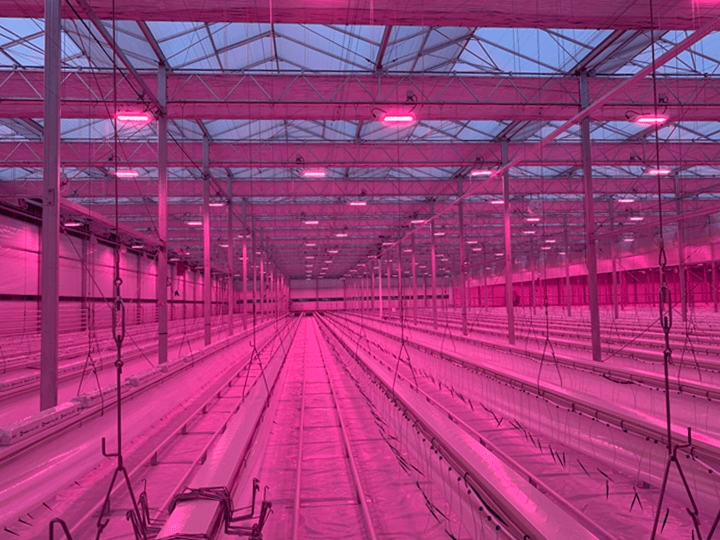 LED 보광등