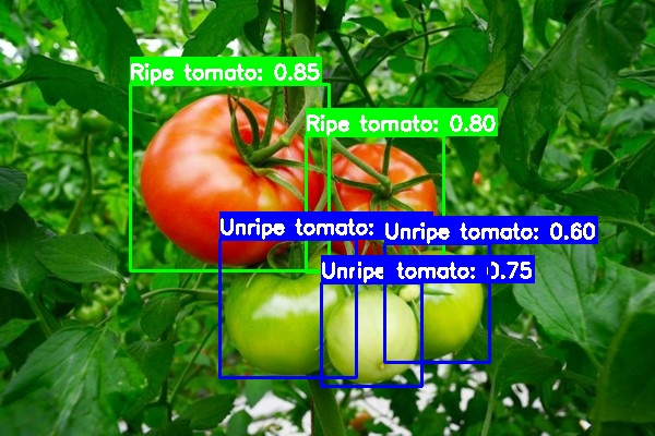 AI 토마토 완숙도 실시간 분석 - 1