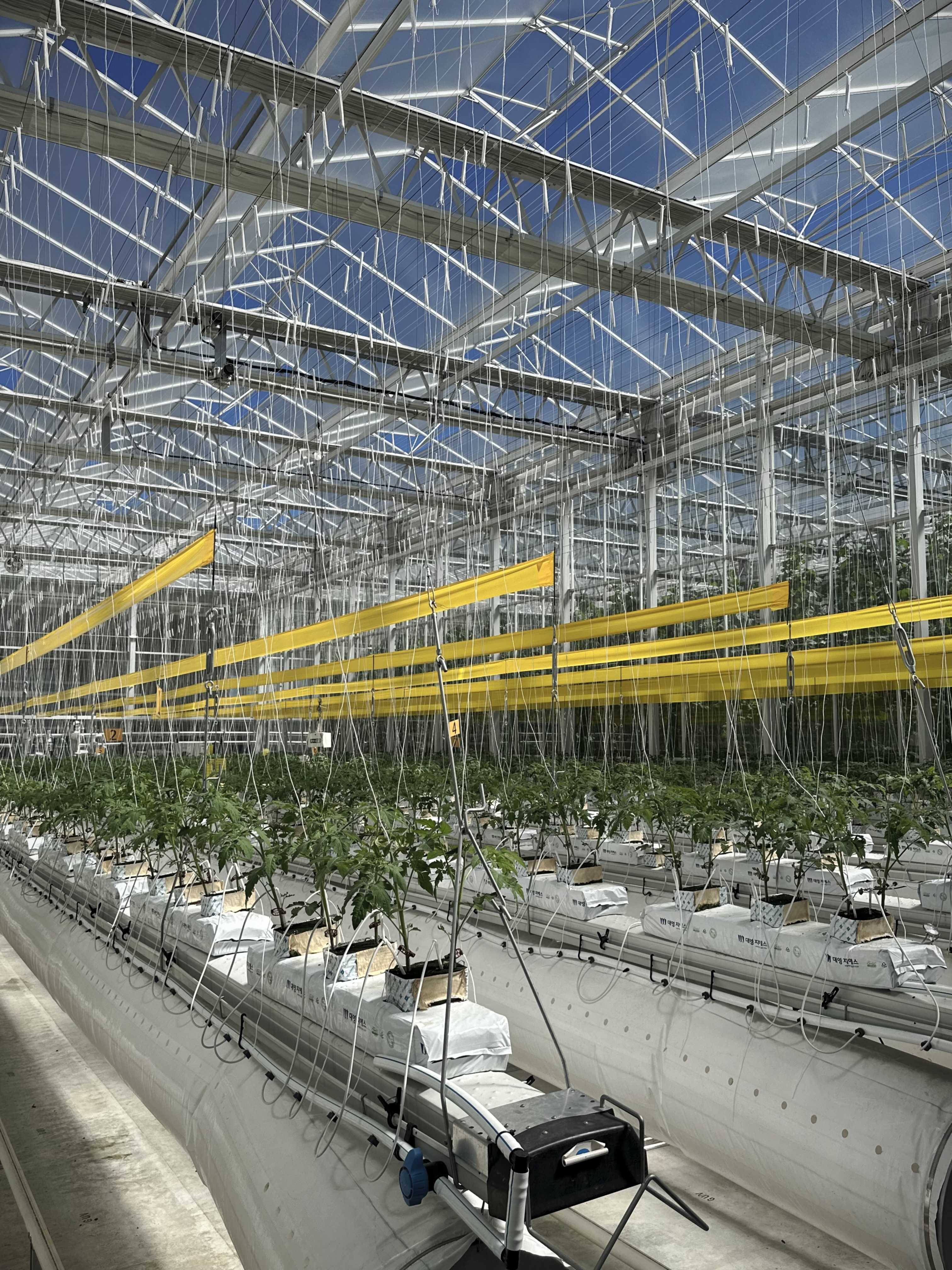 김제 스마트팜 재배 시설